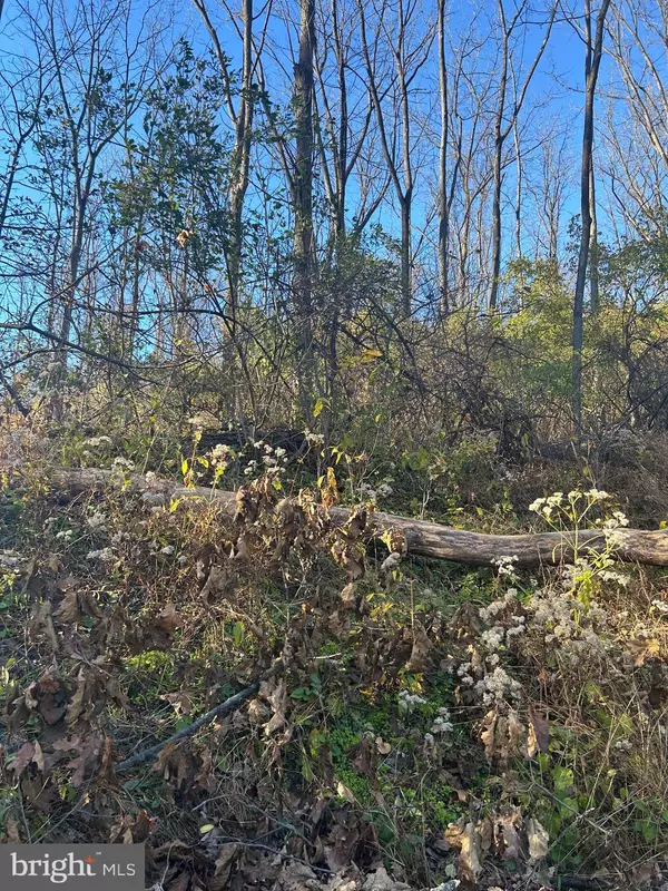 Robesonia, PA 19551,LOT #4 HEIDEL RD
