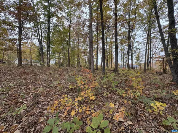 Mineral, VA 23117,TBD W 8TH ST