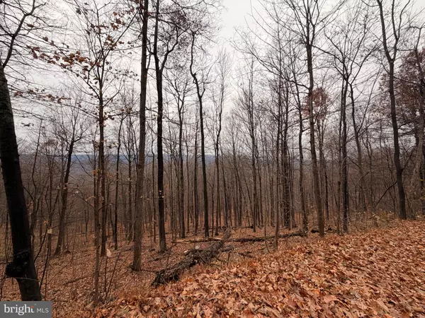 Hedgesville, WV 25427,6.71 AC LOT 9 GOBBLER LANE