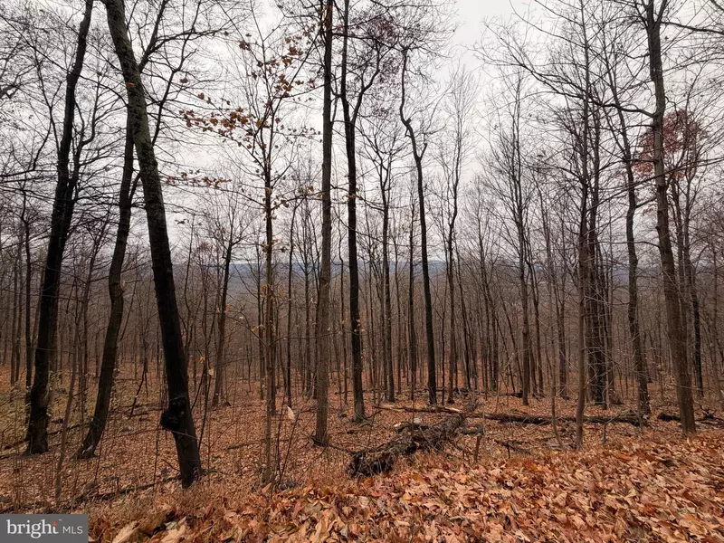6.71 AC LOT 9 GOBBLER LANE, Hedgesville, WV 25427
