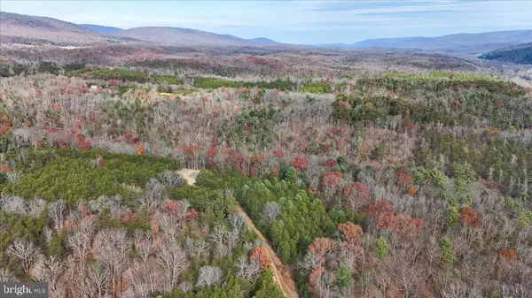 Bloomery, WV 26817,LOT 8 CROSTON RD