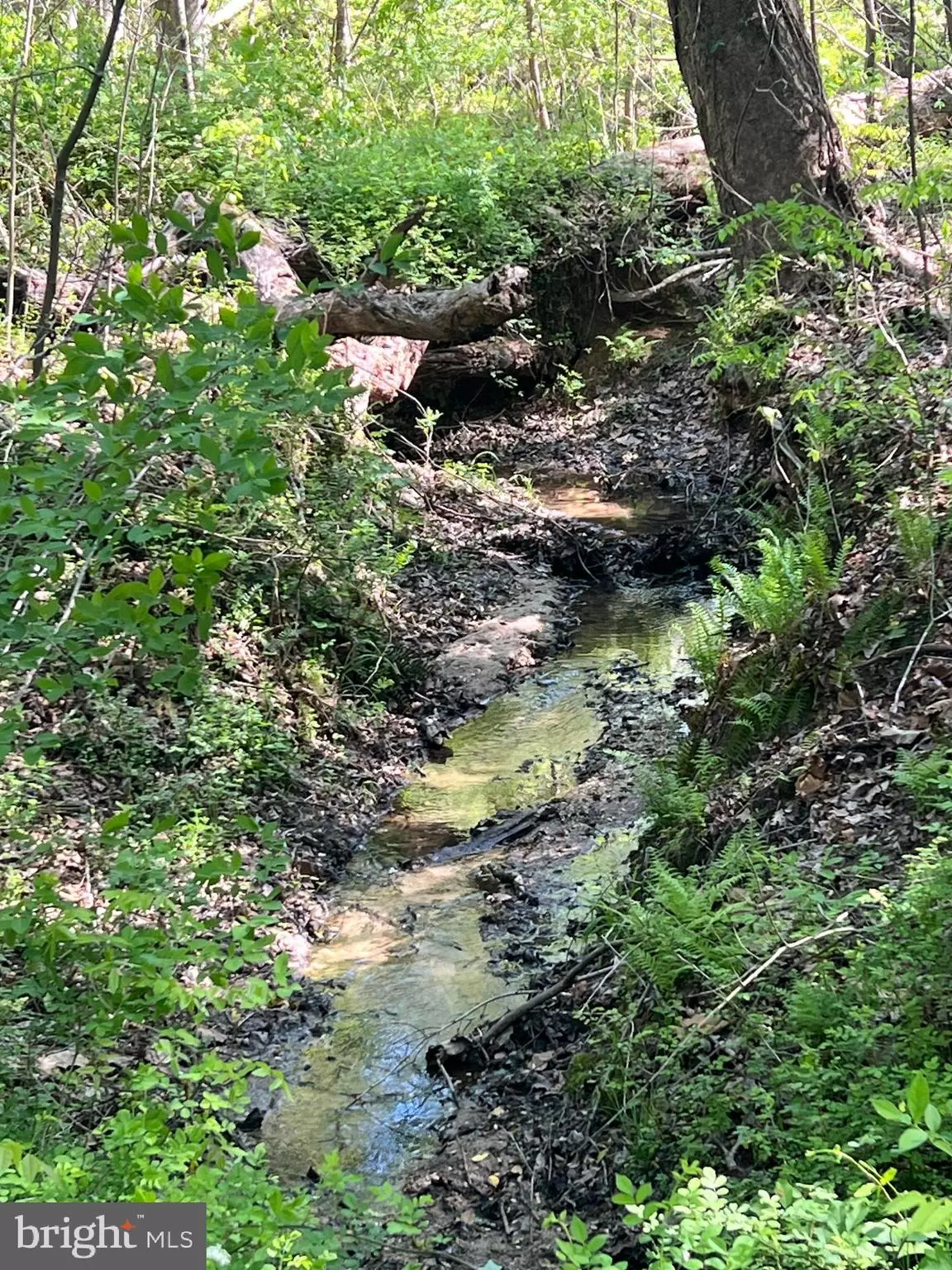 St Leonard, MD 20685,2745 VIVIANS WAY