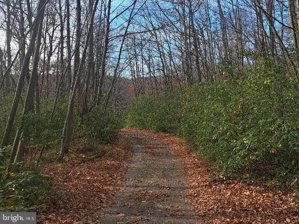 Oakland, MD 21550,FOX TAIL RD