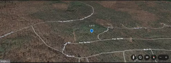 Oakland, MD 21550,FOX TAIL RD