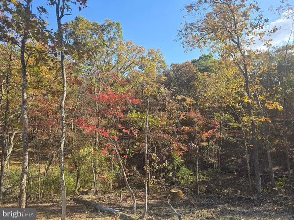 Hedgesville, WV 25427,LOT 7 MYLA LN