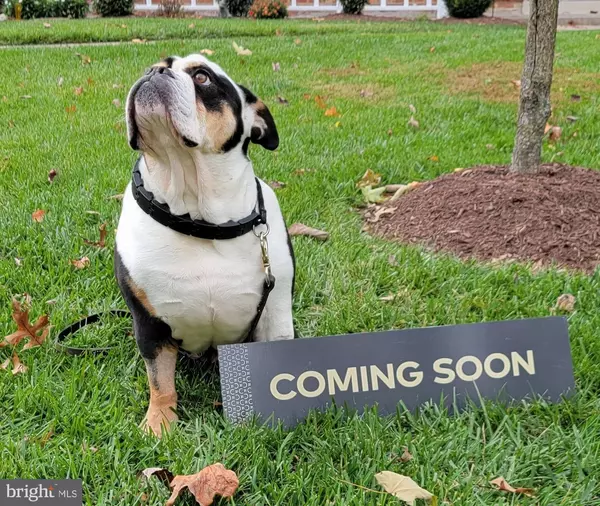 557 LANCASTER PL #557, Frederick, MD 21703