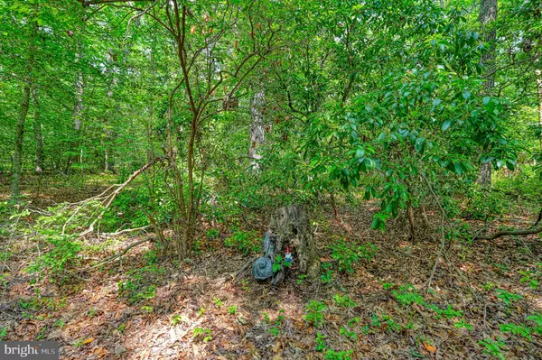 0 ALSOP WAY, Spotsylvania, VA 22551