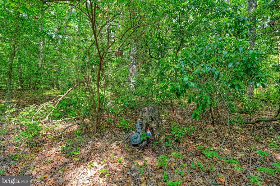 0 ALSOP WAY, Spotsylvania, VA 22551