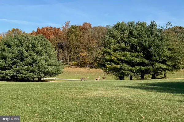 Worton, MD 21678,STILL POND CREEK RD