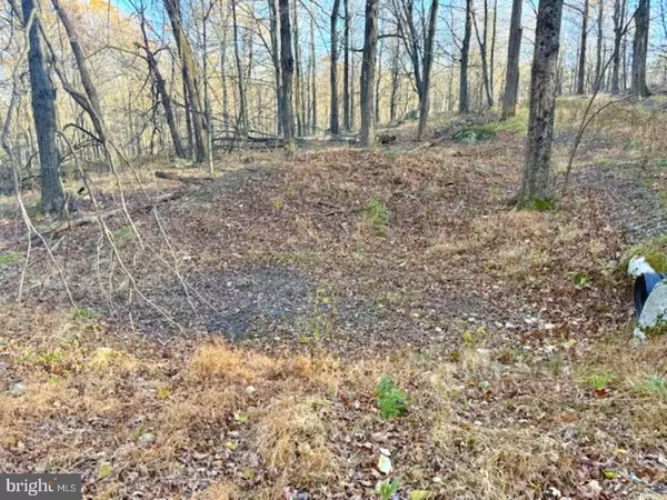 Maysville, WV 26833,LOT 38 MONONGAHELA LN