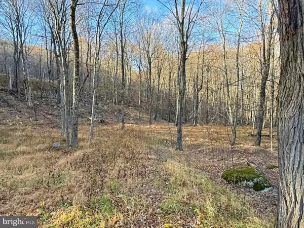 LOT 38 MONONGAHELA LN, Maysville, WV 26833