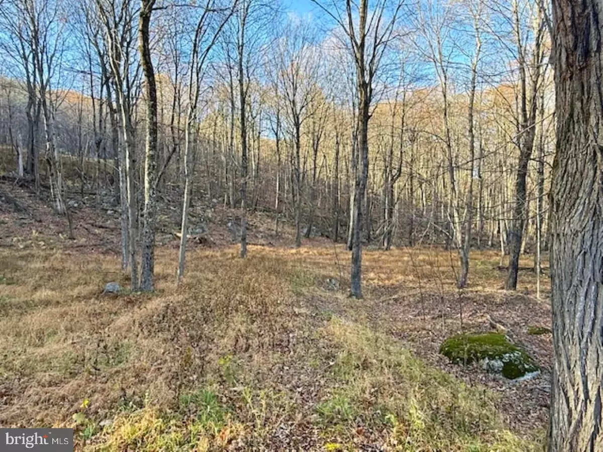 Maysville, WV 26833,LOT 38 MONONGAHELA LN