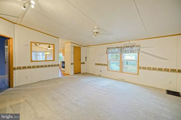 Lewes, DE 19958,22916 PINE RD