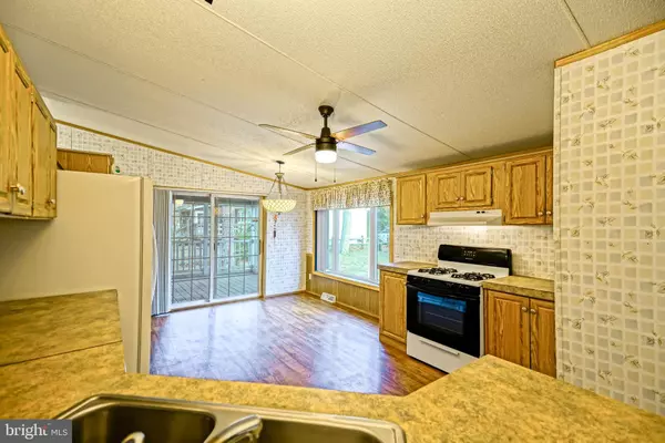 Lewes, DE 19958,22916 PINE RD