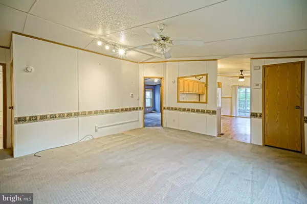 Lewes, DE 19958,22916 PINE RD