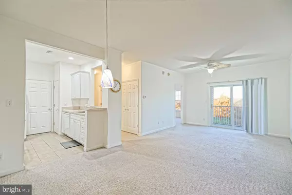 Lewes, DE 19958,17063 S BRANDT ST #4303