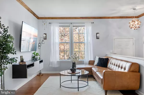 Broadlands, VA 20148,21360 SHADY WOOD TER