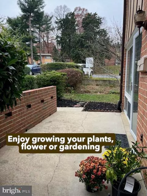 Fairfax, VA 22030,10123 FAIR WOODS DR