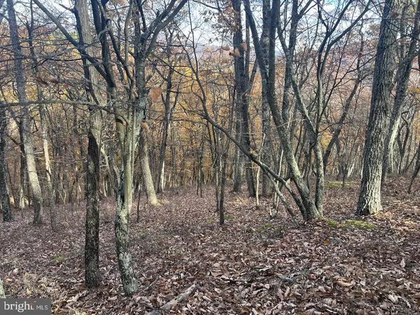 Moorefield, WV 26836,LOT 40 ASHTON WOODS DR