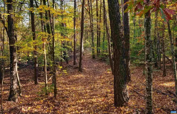 Earlysville, VA 22936,LOT B LINK EVANS LN