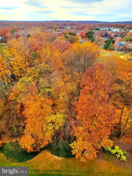 203 YOAKUM PKWY #1807, Alexandria, VA 22304