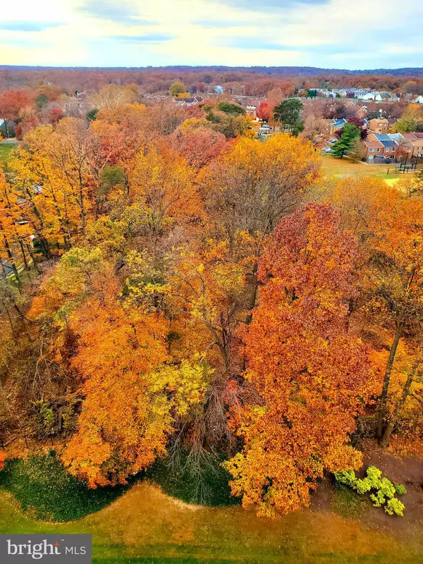 203 YOAKUM PKWY #1807, Alexandria, VA 22304