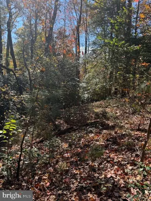 Montross, VA 22520,30 ARTHUR