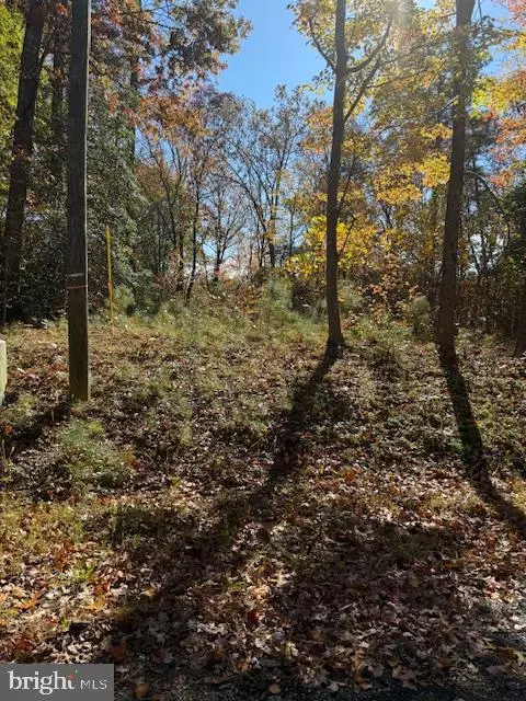 Montross, VA 22520,30 ARTHUR