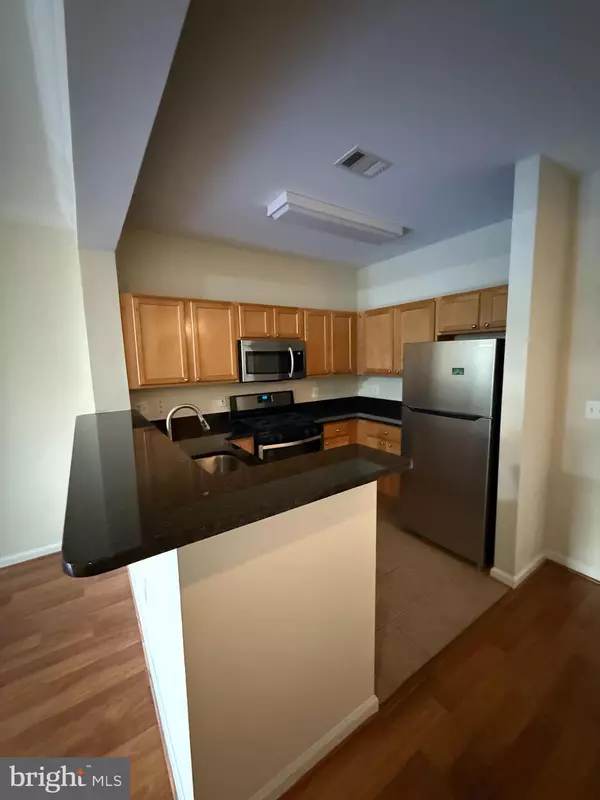 Reston, VA 20190,12000 MARKET ST #114