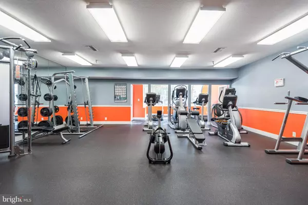 Alexandria, VA 22302,3313 WYNDHAM CIR #4218