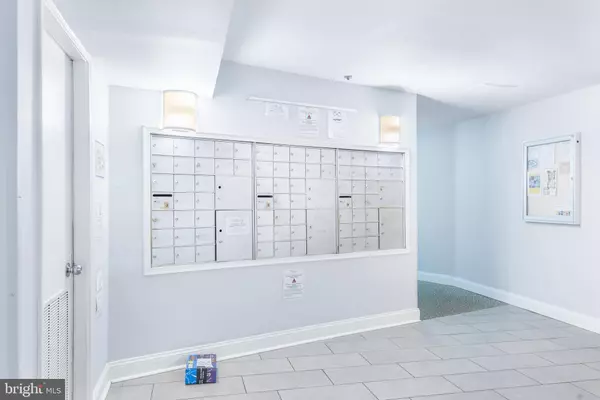 Alexandria, VA 22302,3313 WYNDHAM CIR #4218