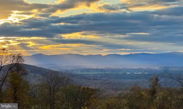 Linden, VA 22642,3 LEE DRIVE