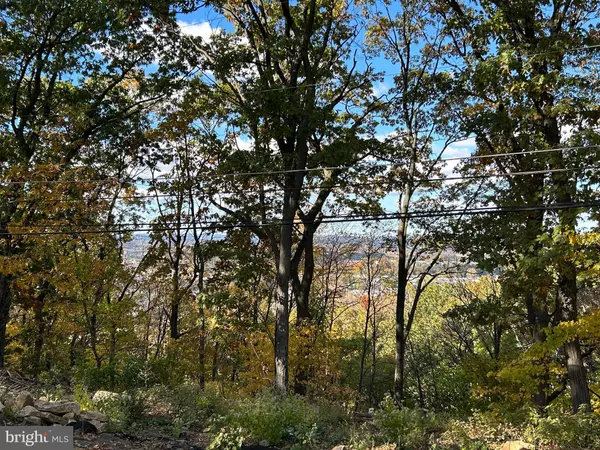 Allentown, PA 18103,501 SKYLINE DR