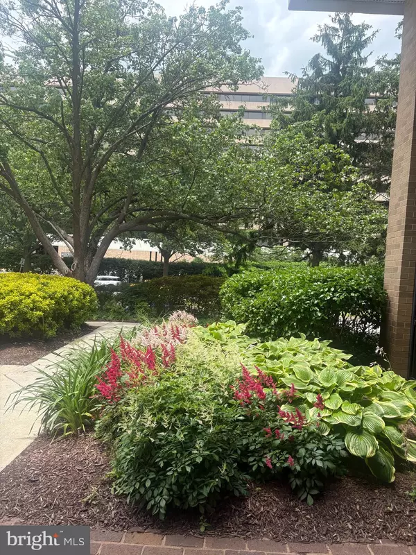 Falls Church, VA 22041,3709 S GEORGE MASON DR #314