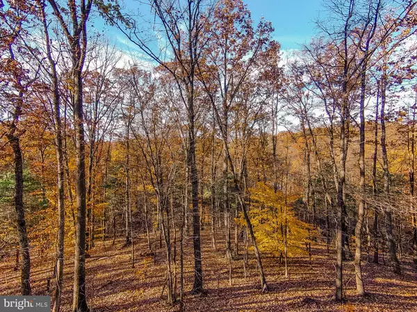 Hedgesville, WV 25427,GOAWAY ROAD #1