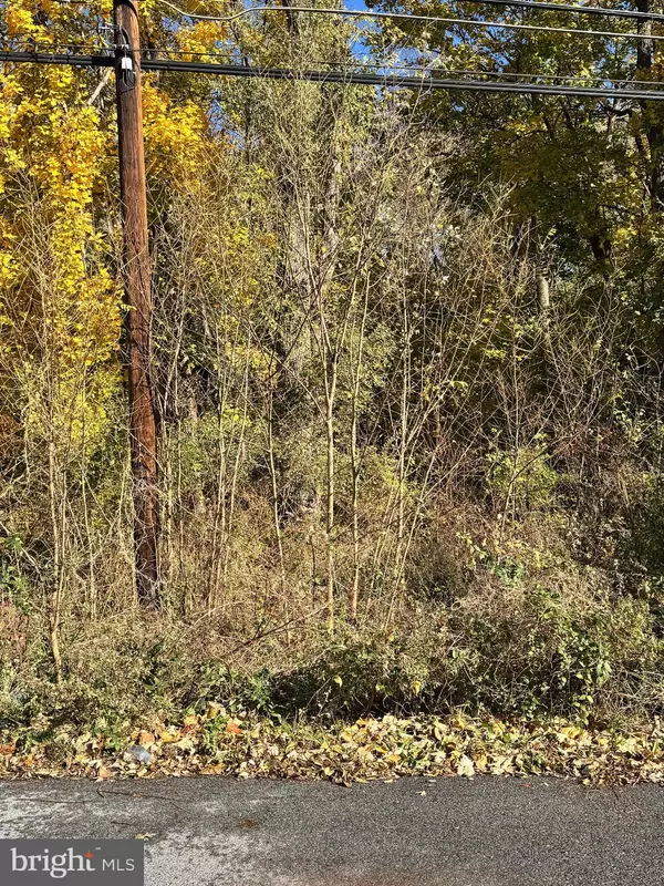 Martinsburg, WV 25401,LOT 75 ROTHWELL AVE