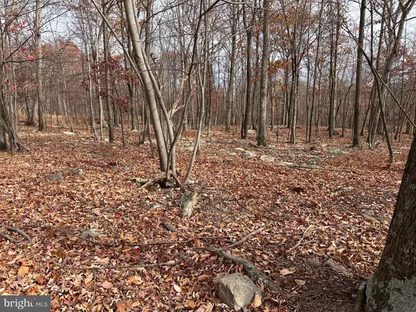 Berkeley Springs, WV 25411,518 PARKSIDE TER