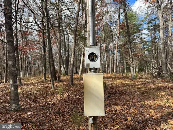 Augusta, WV 26704,LOT #28 CACAPON MOUNTAIN RETREAT