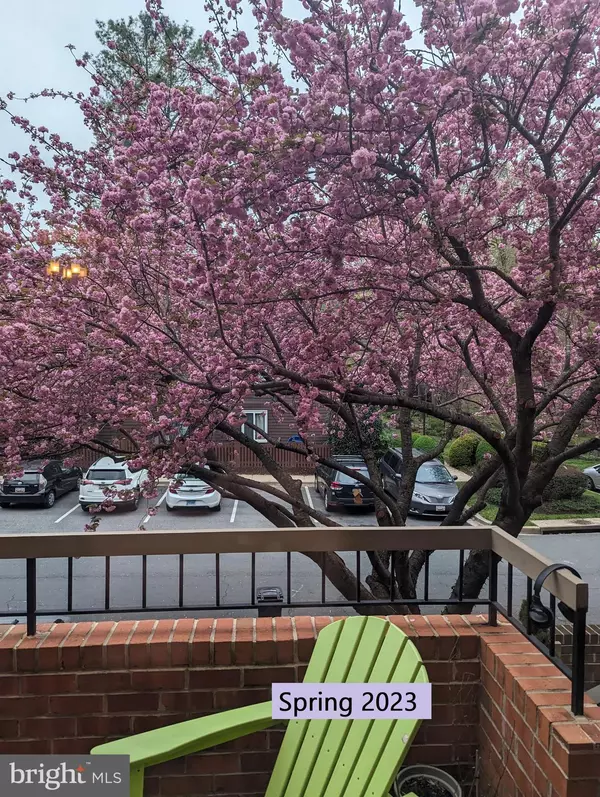 Rockville, MD 20854,10847 WHITERIM DR