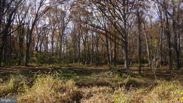 Bridgeton, NJ 08302,280 GOULD AVE