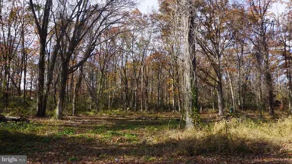 Bridgeton, NJ 08302,280 GOULD AVE