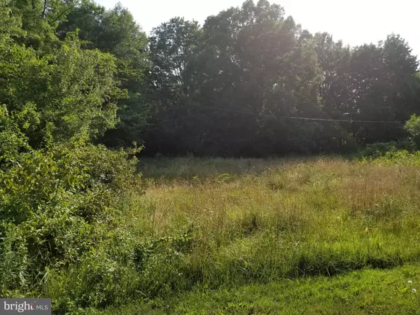 White Marsh, MD 21162,NEW FORGE