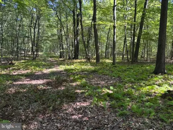 Alburtis, PA 18011,0 TREICHLER RD