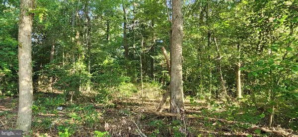 Salisbury, MD 21801,LOT 19 BRANDYWOOD LN