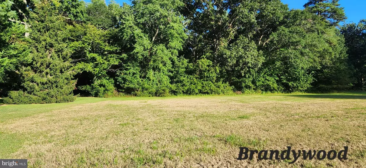 Salisbury, MD 21801,LOT 19 BRANDYWOOD LN