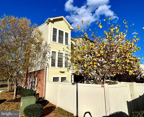 Leesburg, VA 20175,573 DANDELION TER SE