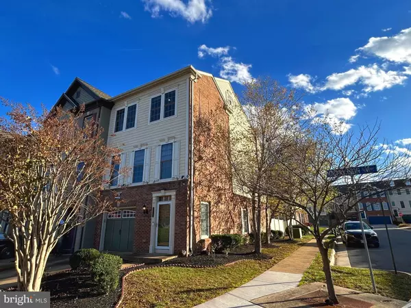Leesburg, VA 20175,573 DANDELION TER SE