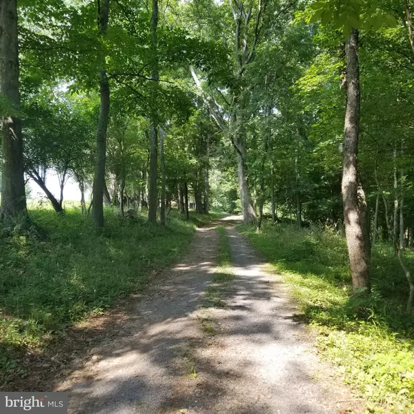 Mc Henry, MD 21541,WES MOUNTAIN TRL