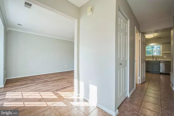 Centreville, VA 20120,14801 BASINGSTOKE LOOP