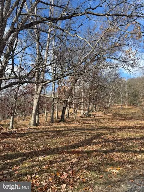 Baker, WV 26801,EWING DRIVE